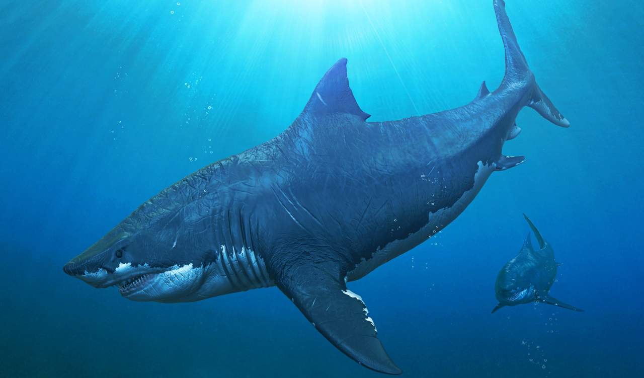 These Threatening Prehistoric Predators Would Wreak Havoc Today