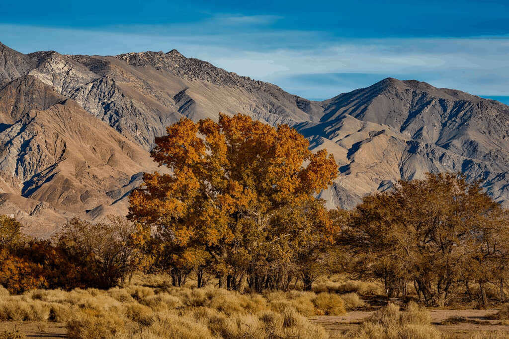 The Garlock Fault Line Is Finally Slipping (And Other Catastrophic Earthquakes in California)