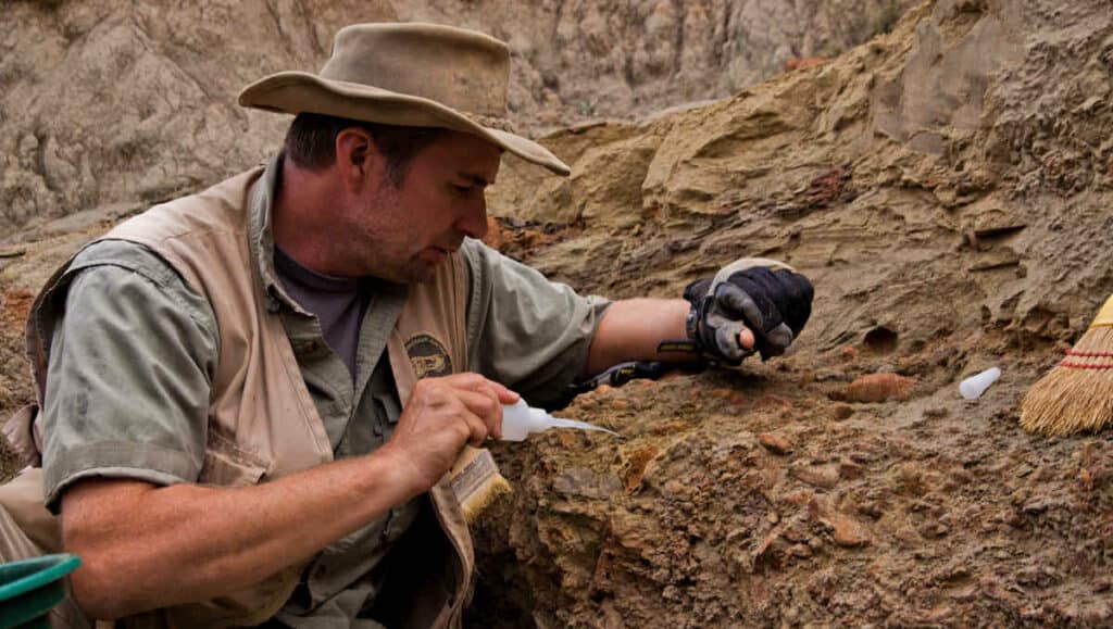 The Groundbreaking Discovery of a Tiny T-Rex in Utah