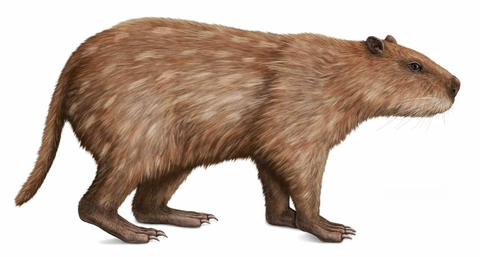 Massive and Terrifying Extinct Animals that Roamed the Earth