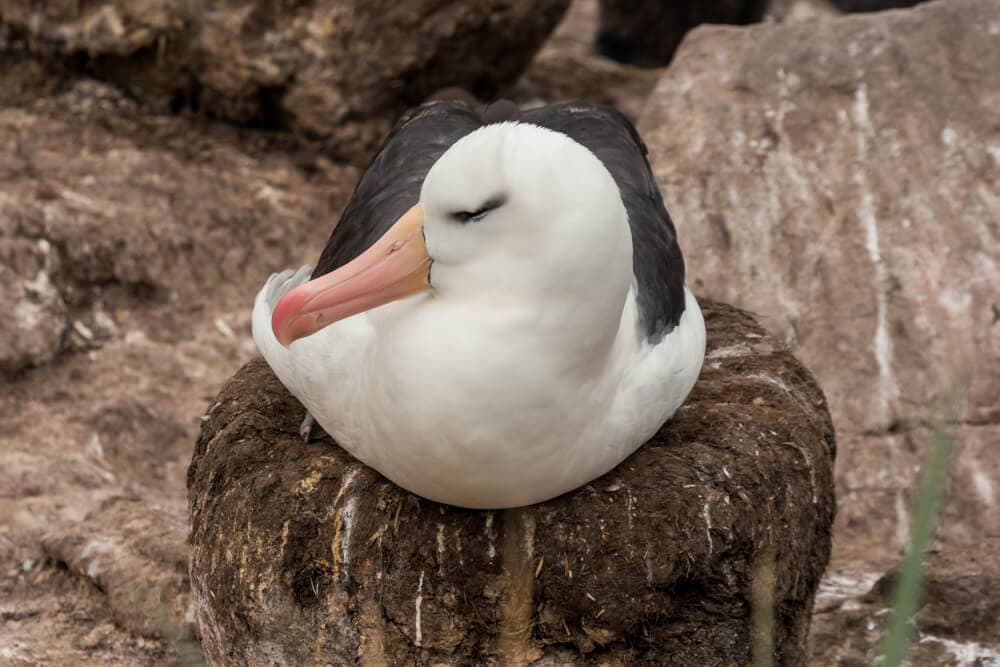 Unusual Sleeping Habits