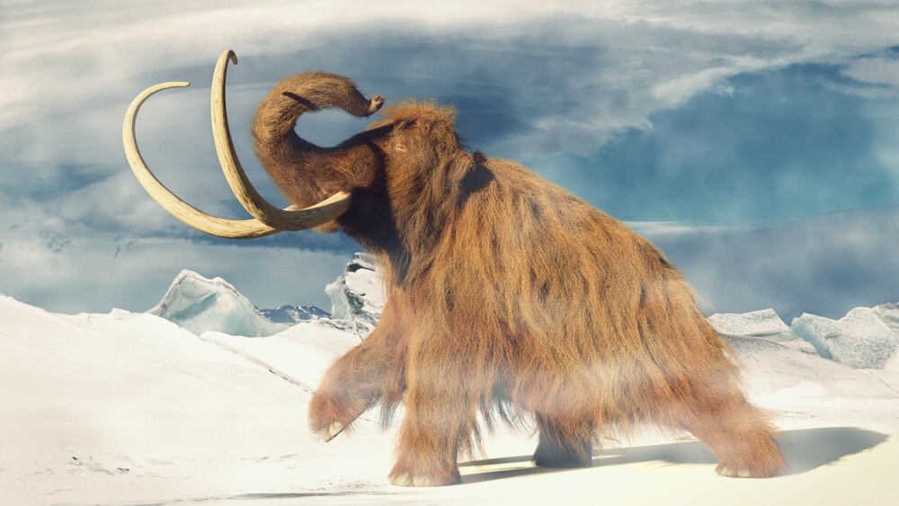 Extinct Animals Science Could Bring Back