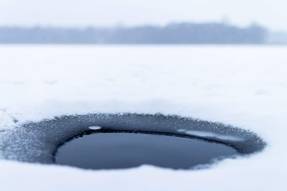 Subglacial Lakes in Antarctica are Full of Secrets