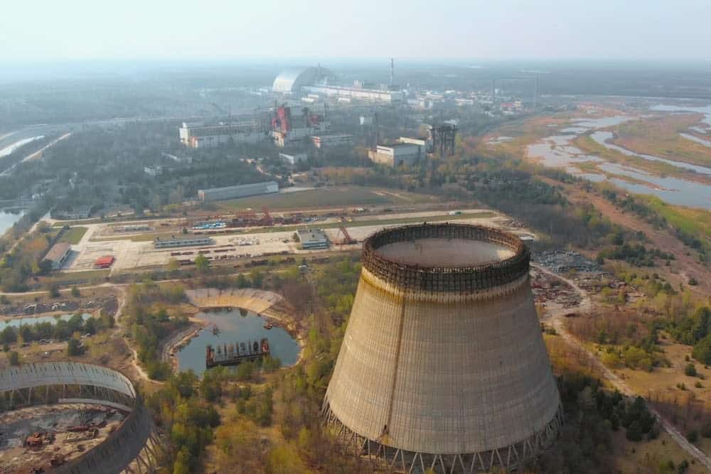 New Species Living in Fukushima, Japan’s Nuclear Accident Zone