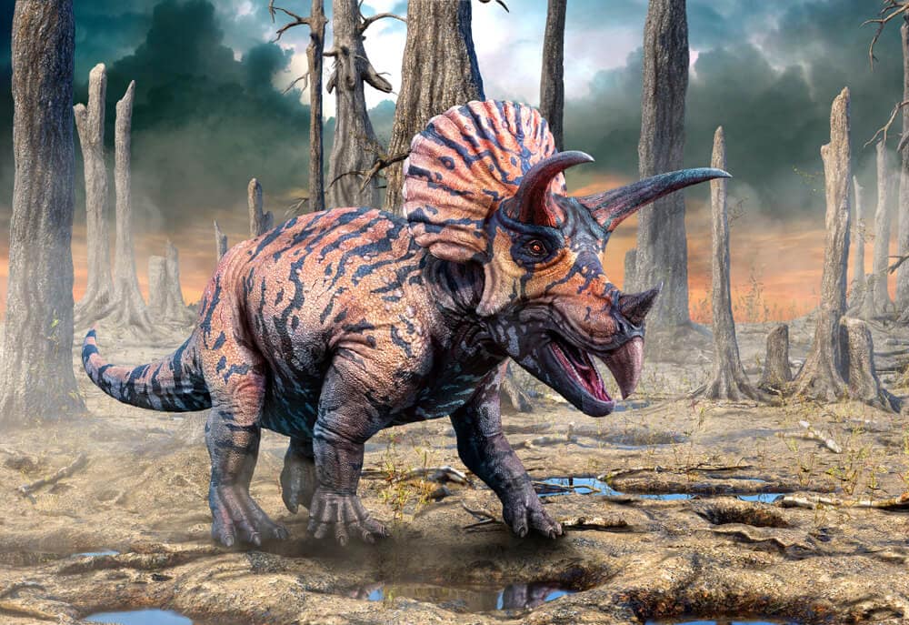 40 Dinosaurs Discovered in North America