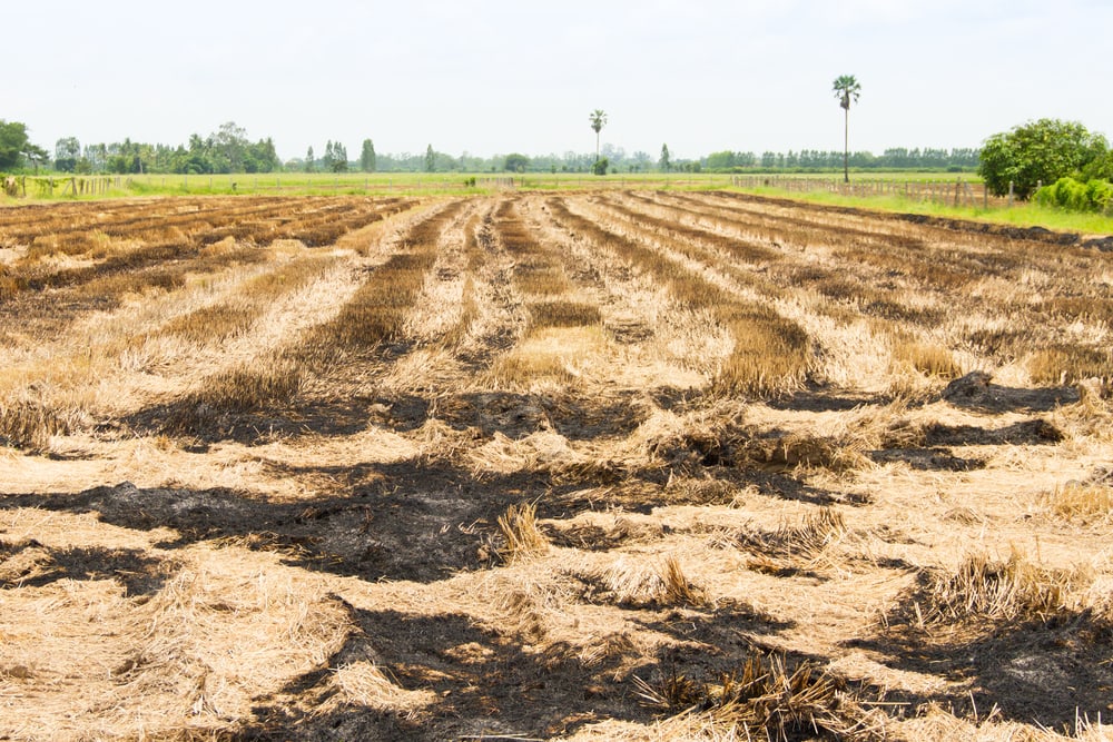 Shocking Photos that Prove Humans Destroy Everything They Touch