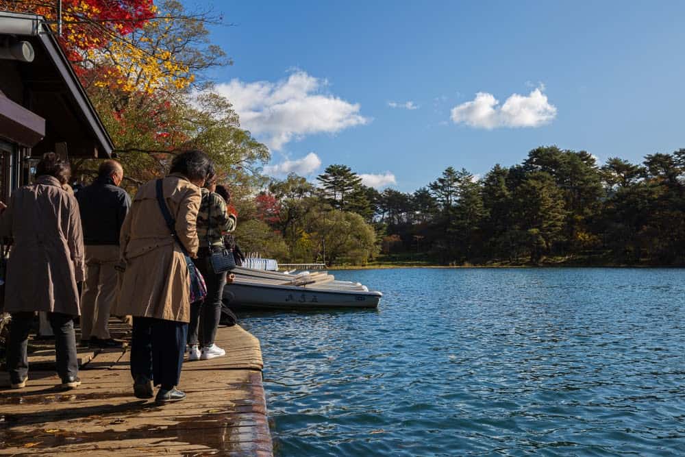 New Species Living in Fukushima, Japan’s Nuclear Accident Zone