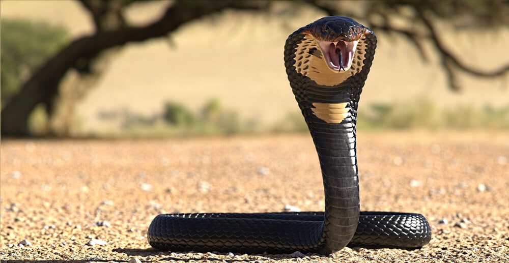 40 Times Earth’s Animals Created Nightmares