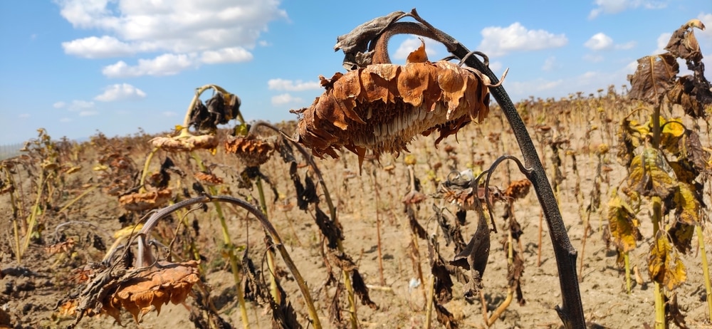 Shocking Photos that Prove Humans Destroy Everything They Touch