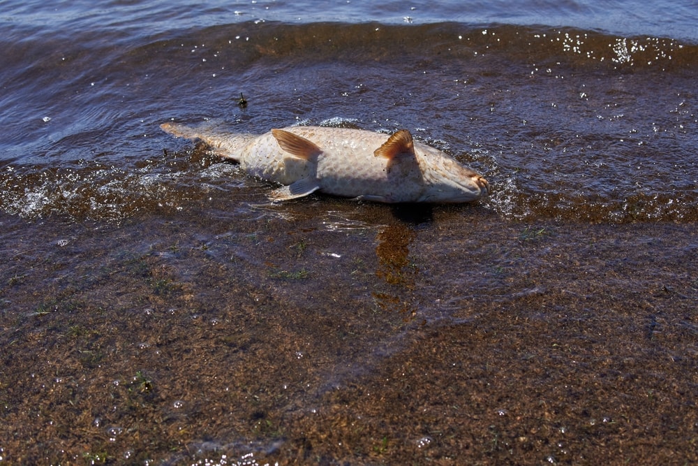 Humans Have Polluted these Places Beyond Recognition