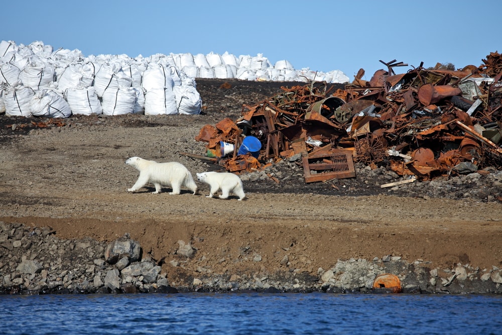 Shocking Photos that Prove Humans Destroy Everything They Touch