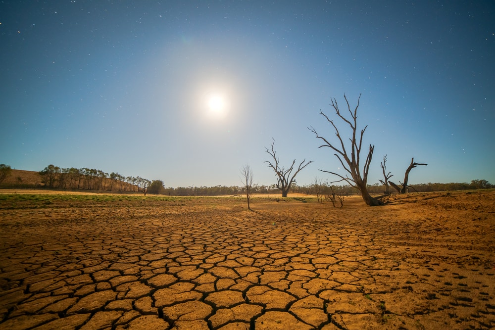 Shocking Photos that Prove Humans Destroy Everything They Touch