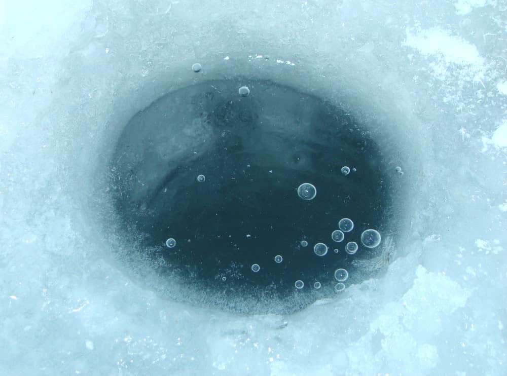 Subglacial Lakes in Antarctica are Full of Secrets