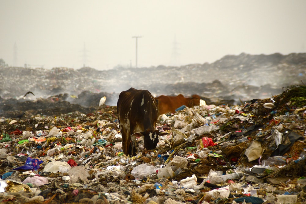 Humans Have Polluted these Places Beyond Recognition