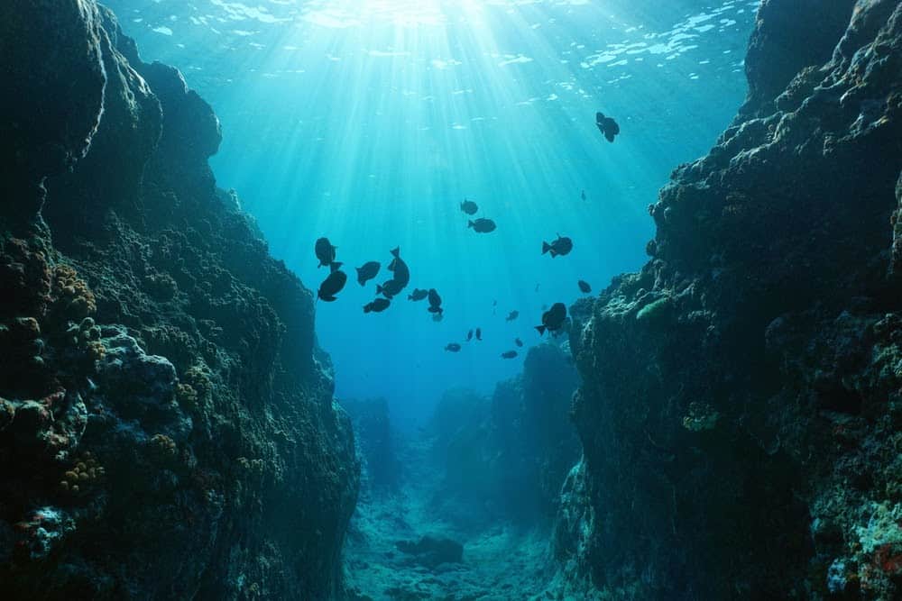 Here’s Confirmation That Earth was a ‘Water World’ Based on Ocean Crust