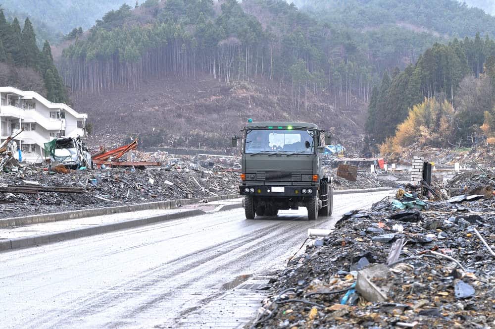 New Species Living in Fukushima, Japan’s Nuclear Accident Zone