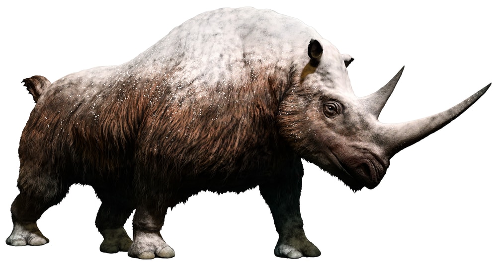 20 Extinct Giants of Prehistoric Times