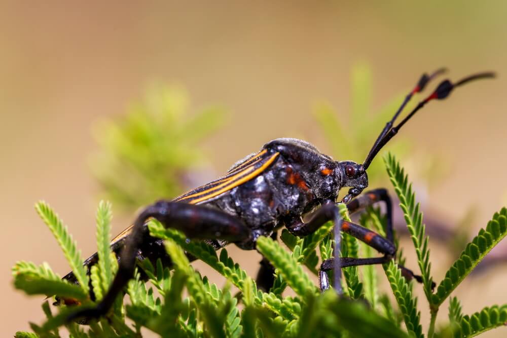 40 Times Earth’s Animals Created Nightmares