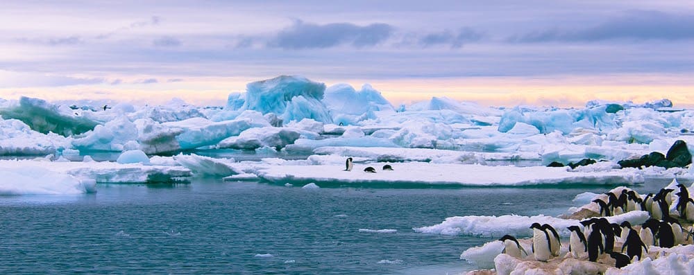 Subglacial Lakes in Antarctica are Full of Secrets