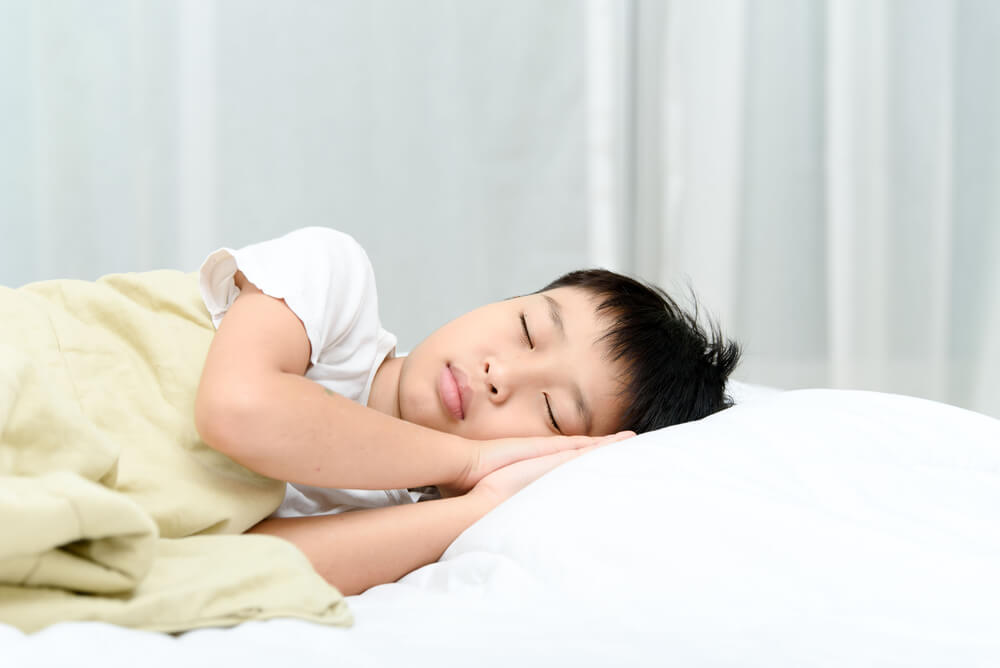 Understanding the Human Sleep Cycle