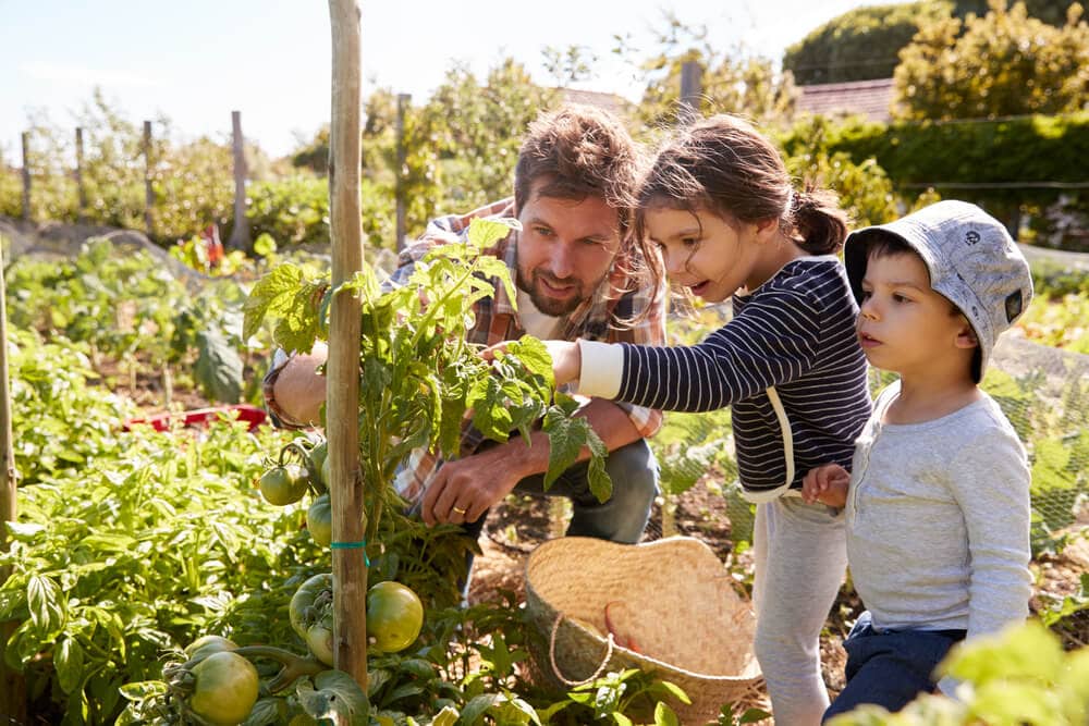 Research Shows Letting Kids Play In Nature Could Change Their Growth