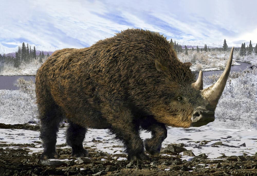 Terrifying Unicorn-Like Creatures Used to Exist