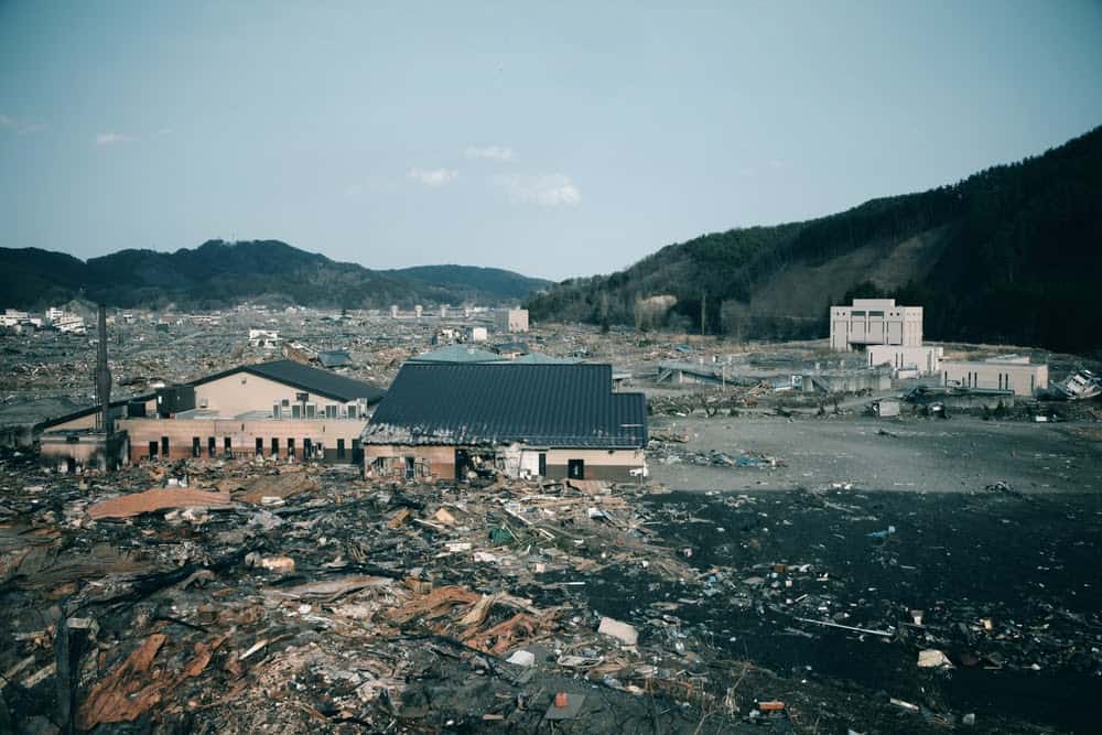 New Species Living in Fukushima, Japan’s Nuclear Accident Zone