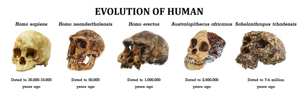 Here’s Why Creation Science Is Making a Comeback