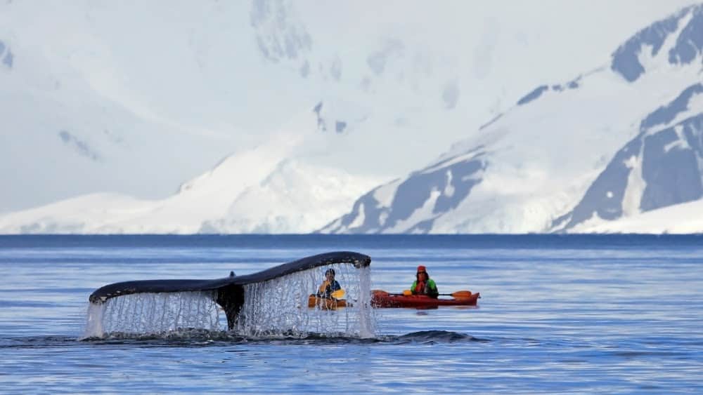 Subglacial Lakes in Antarctica are Full of Secrets