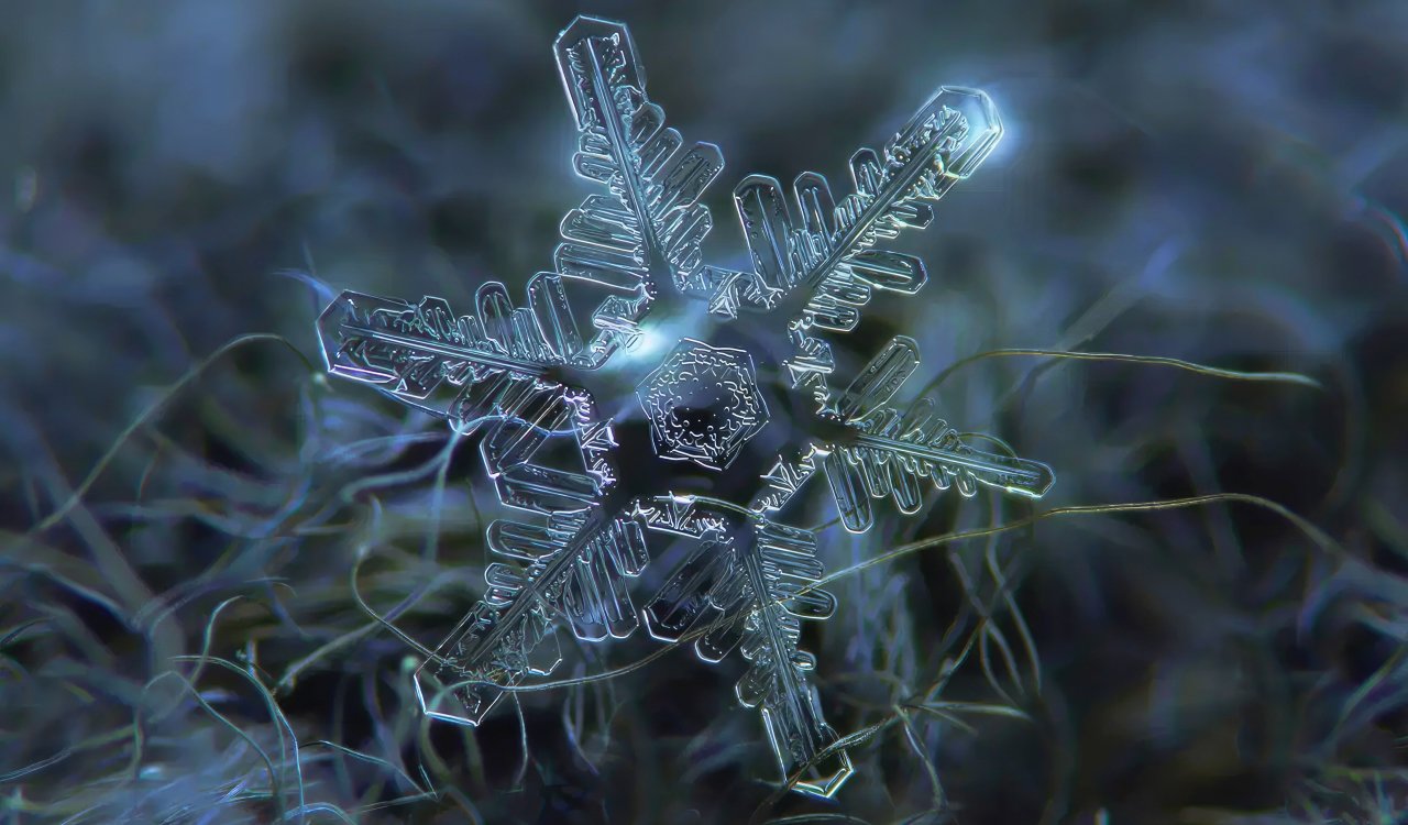 Mind-Blowing Science Photos You’ve Probably Never Seen Before