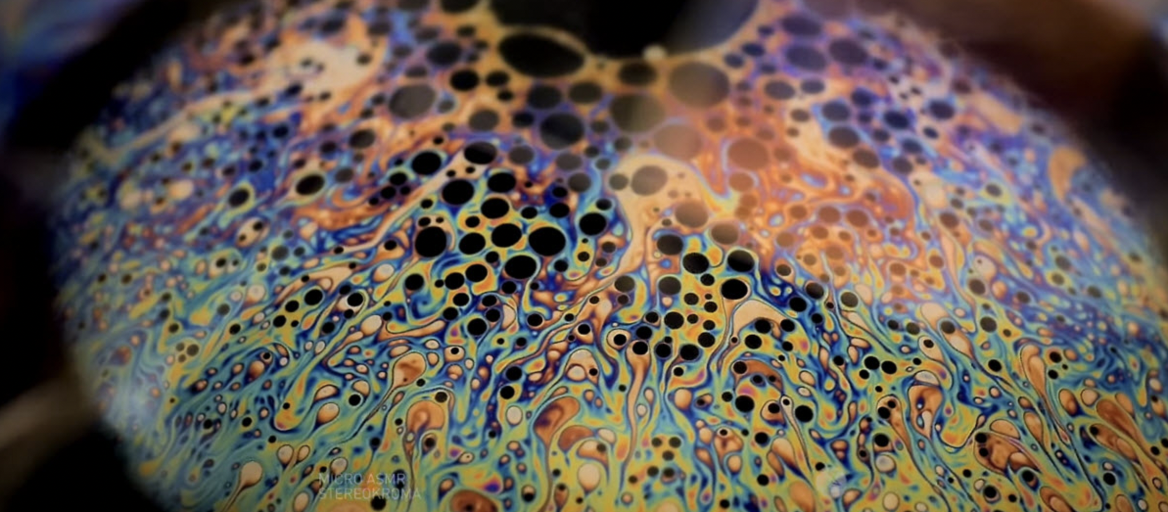 These Everyday Items Turn Into Something Incredible Under a Microscope