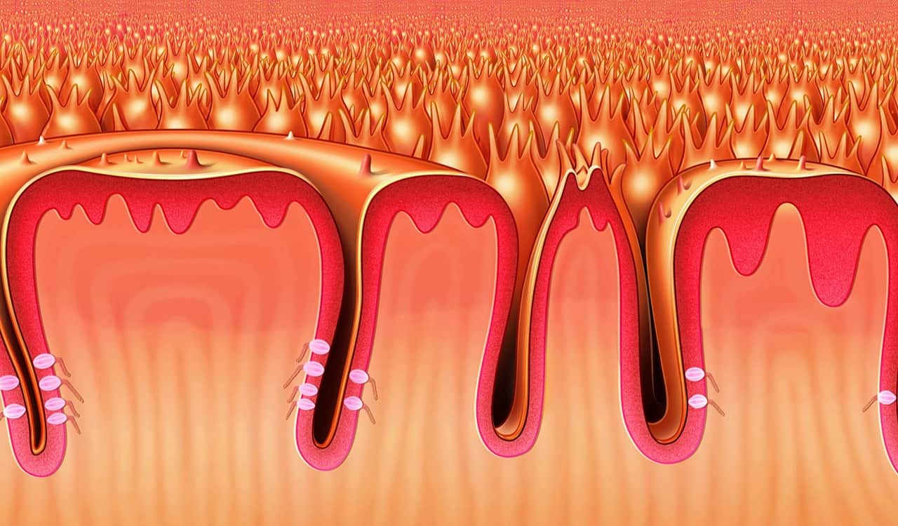 Rare Genetic Traits Most People Probably Don’t Have