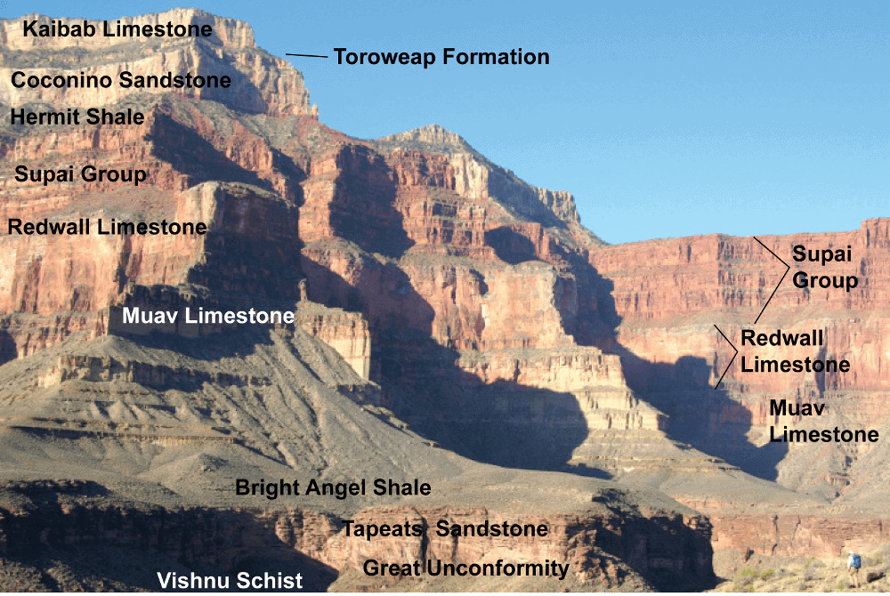 Grand Facts that Celebrate the Grand Canyon’s 6 Millionth Birthday