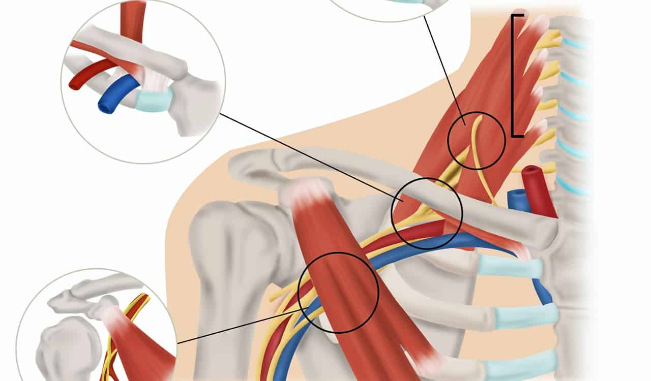 The Most Misdiagnosed Medical Conditions In Scientific History