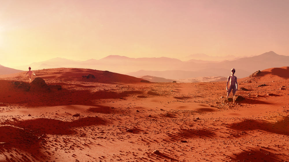 33 Out of this World Mars Finds