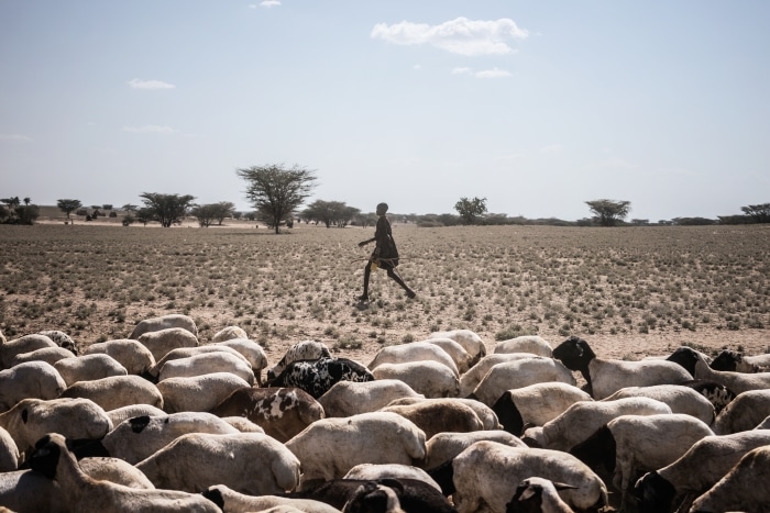 Shocking Photos that Prove Humans Destroy Everything They Touch