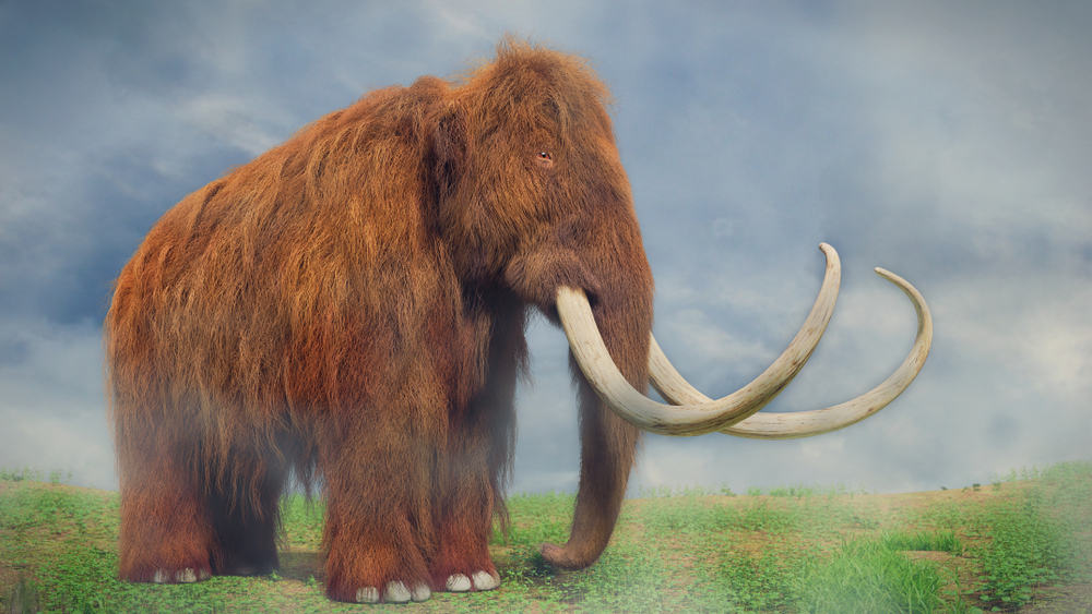 20 Extinct Giants of Prehistoric Times