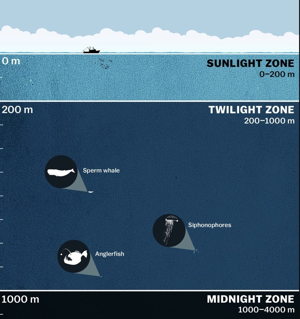 These Scientific Mysteries Will Define This Century and the Future Of Humanity