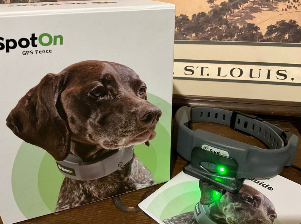 spoton wireless dog fence