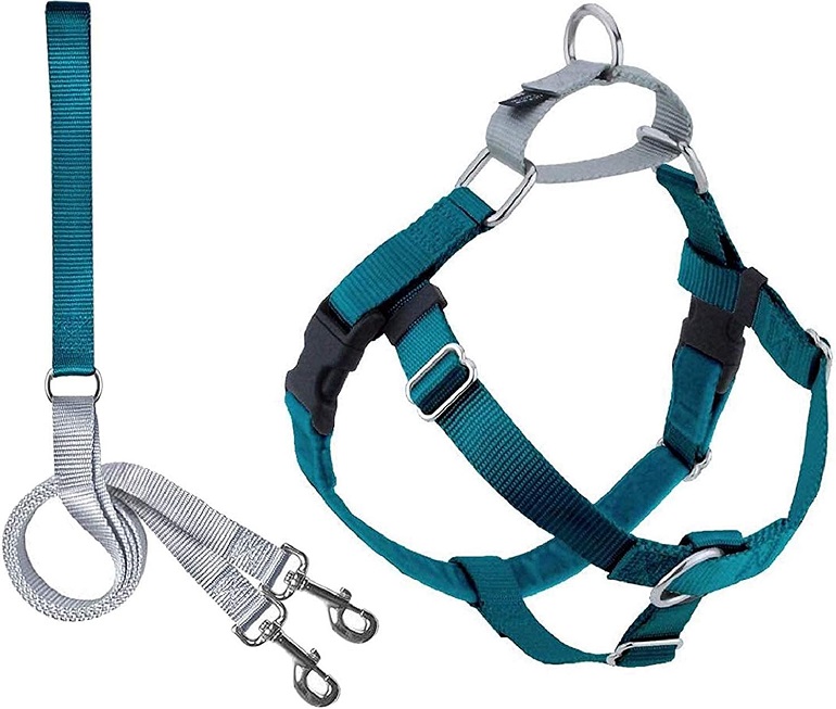 best leash training collar