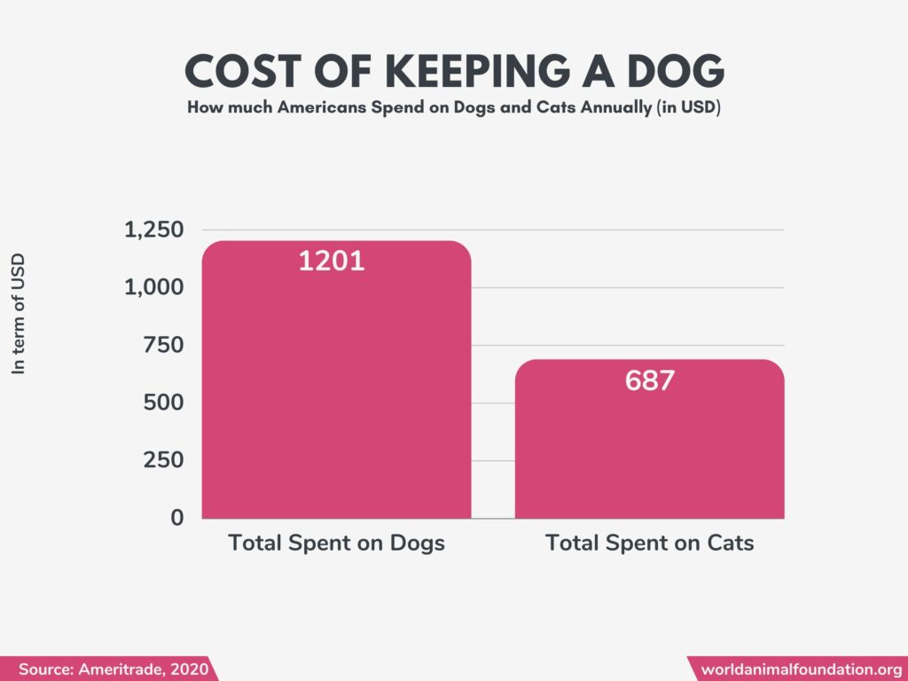 dog stats