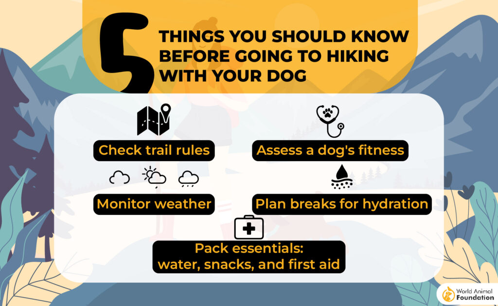 hings you should know before going to hiking with your dog