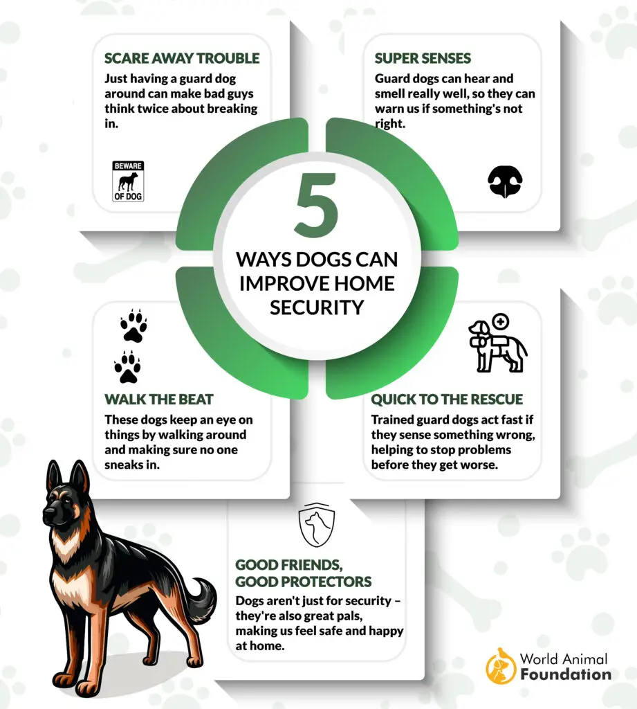 5 ways dogs can improve home security