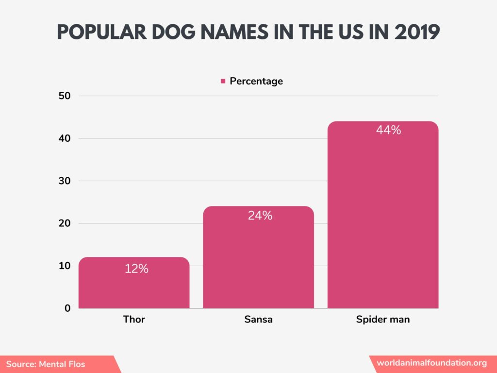 dogs in USA