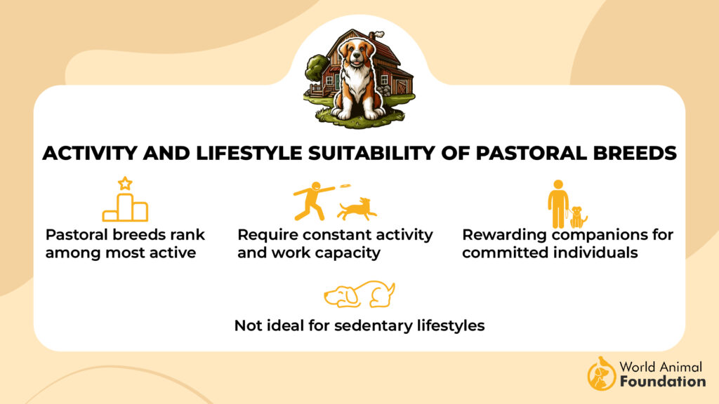 Activity and Lifestyle Suitability of Pastoral Breeds