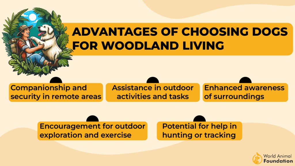 Advantages of Choosing Dogs for Woodland Living