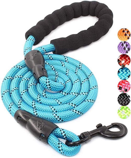 BAAPET Strong Dog Leash REVIEW