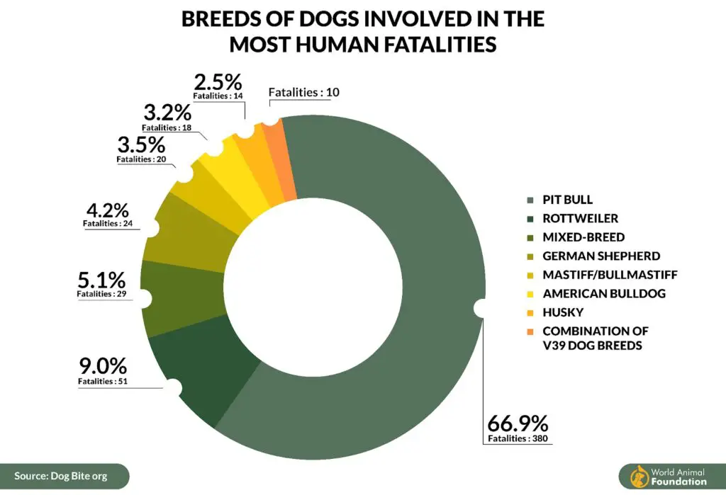 dog breeds involved i n the most human fatalities