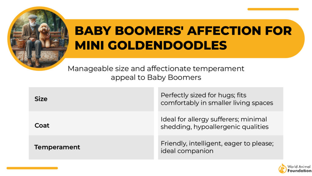 Baby Boomers' Affection for Mini Goldendoodles