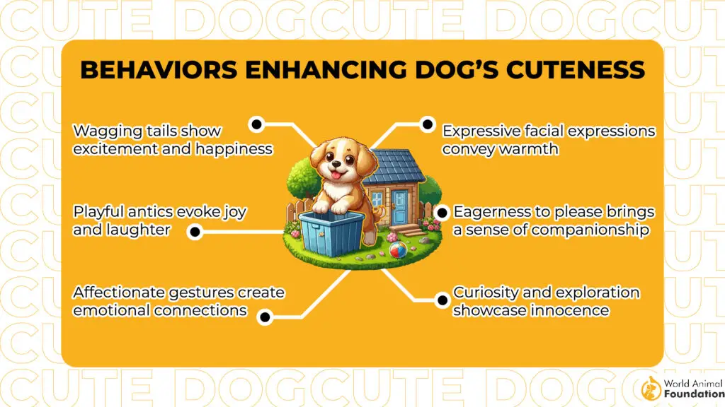 Behaviors Enhancing Dog’s Cuteness